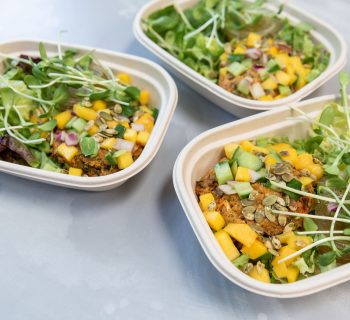 Plant Based